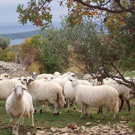Kastel Ložišće